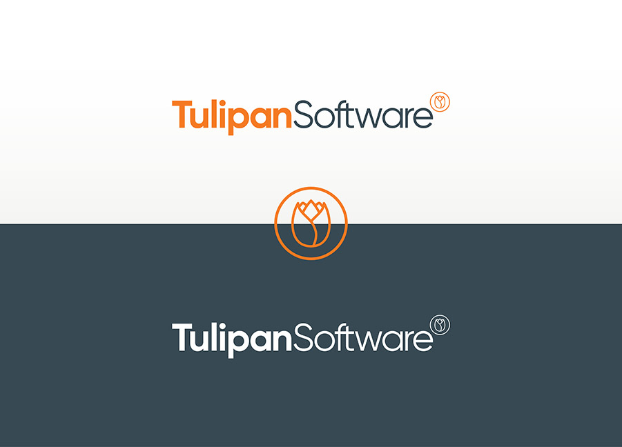 CCD_TulipanSoftware_01