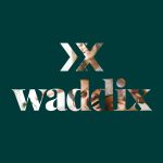 WADDIX <br> <em>Brand</em> design